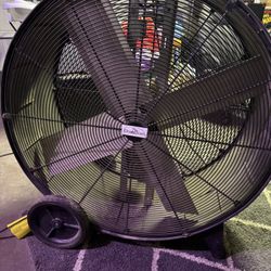 Large Fan 