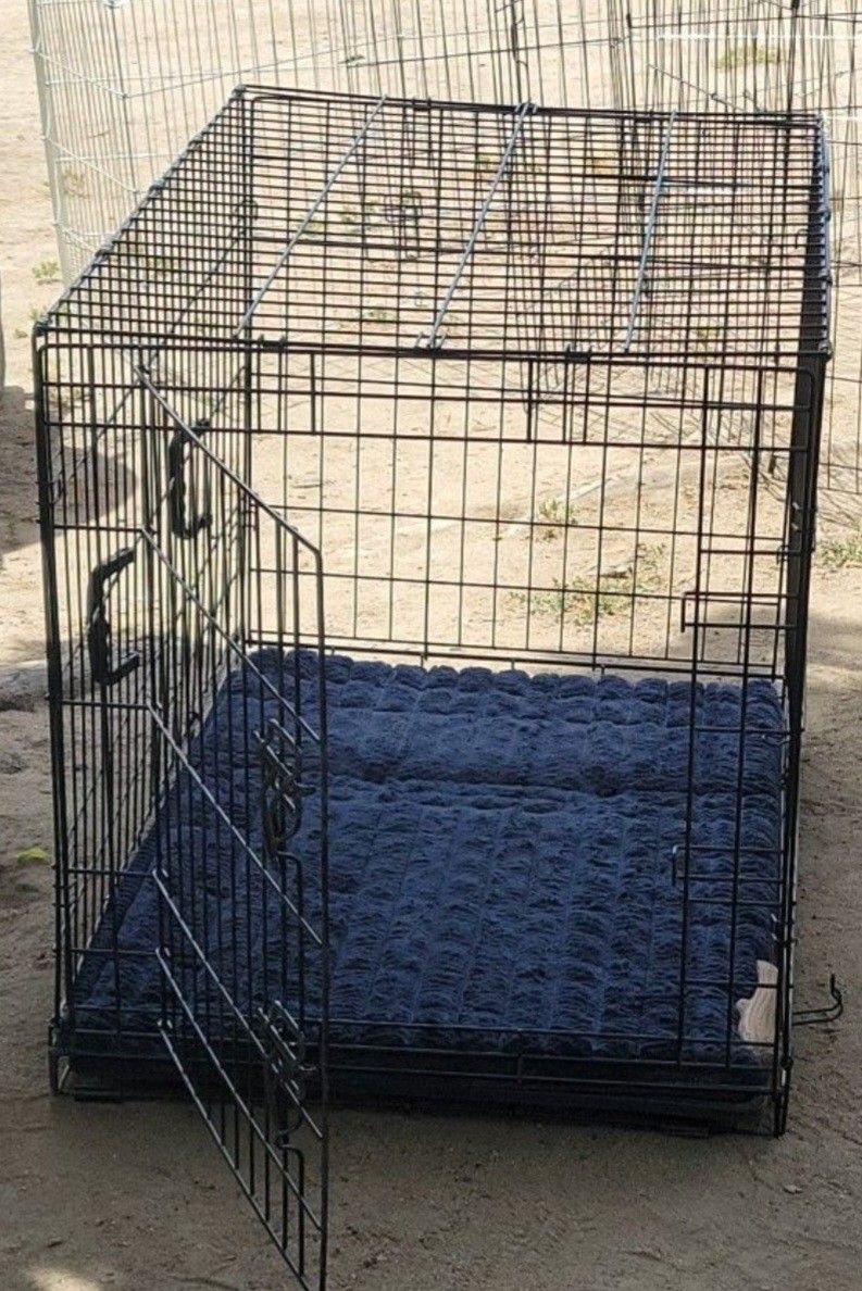 Dog Cage