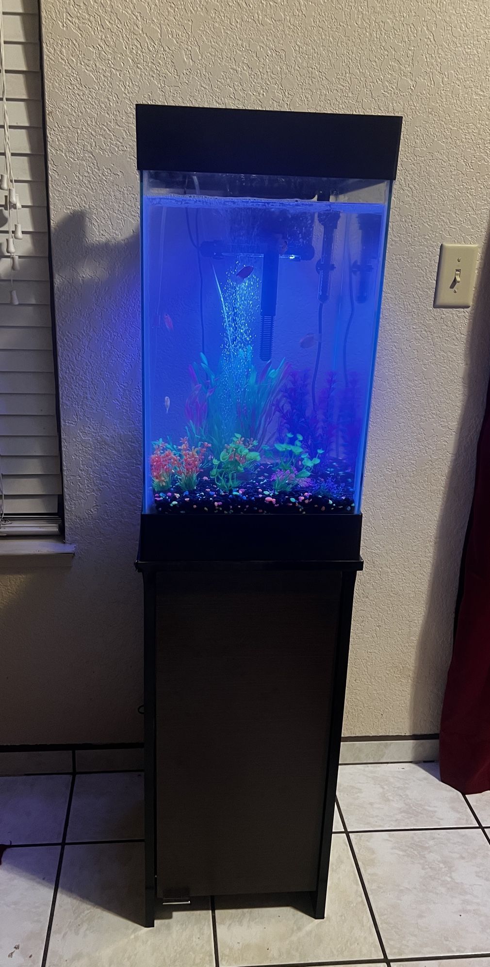 Fish Tank