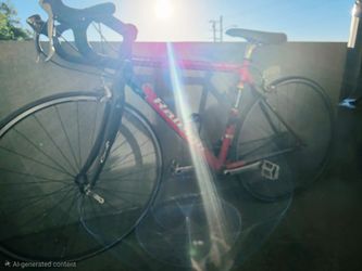 Raleigh Bike