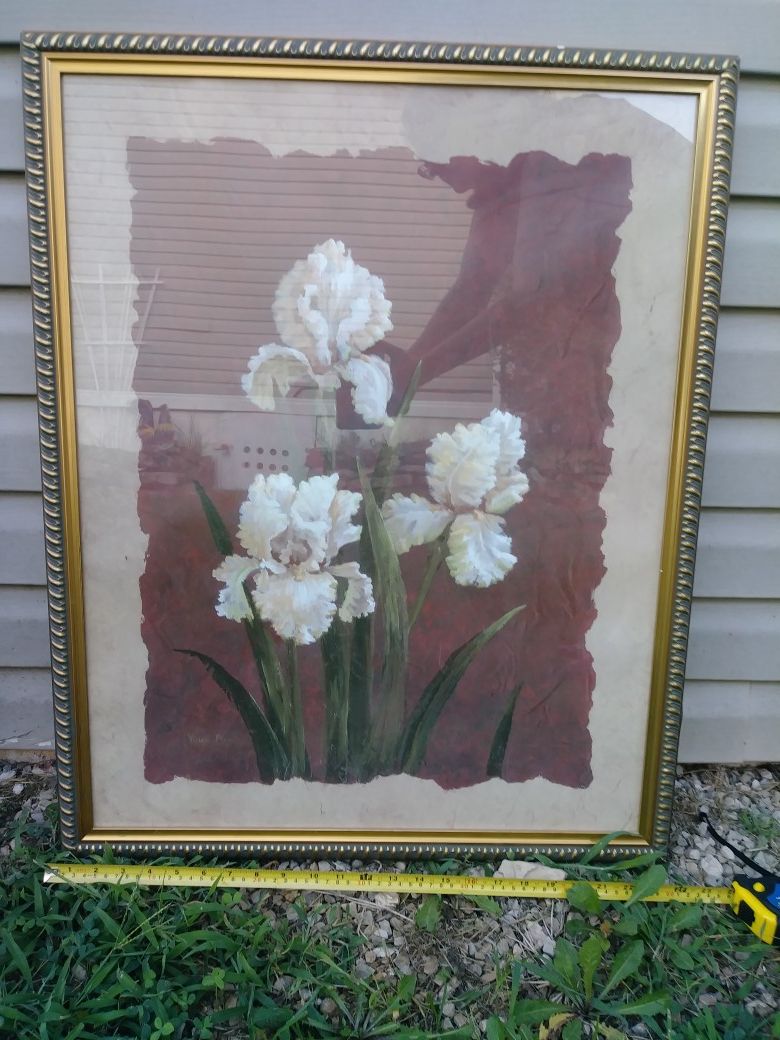 White iris 24 × 30
