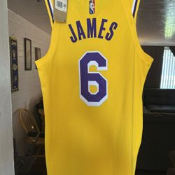 LeBron JamesLos Angeles Lakers Icon Edition Men's Nike Dri-FIT ADV NBA Authentic Jersey