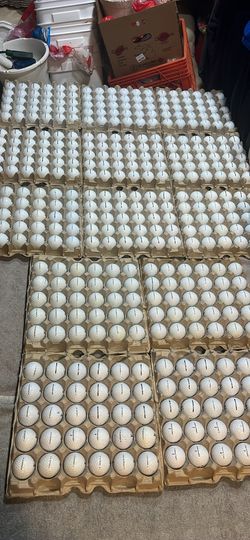 Sxrion Golf Balls