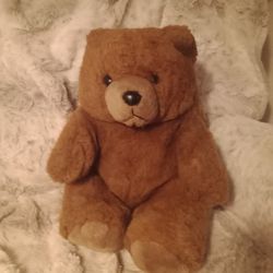 Brown Plushie Teddy Bear 12"