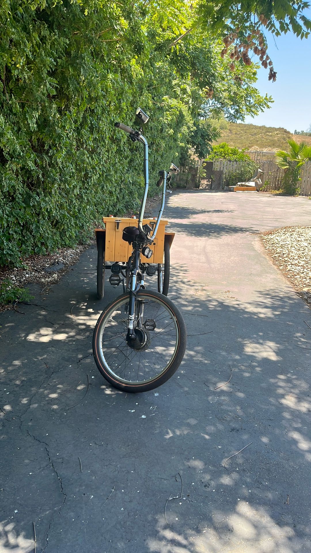 Custom trike potential Bluetooth eight hangers lights music has everything almost