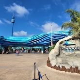 SEAWORLD SAN DIEGO Single Day Entry 