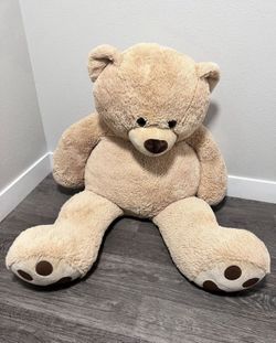 Teddy bear
