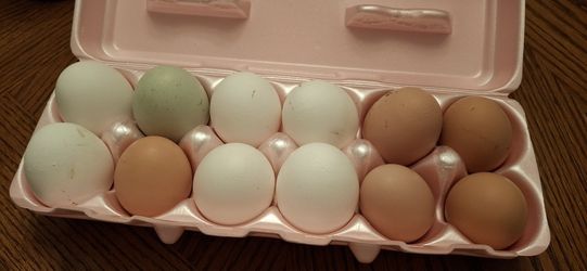 Organic, Free Range Farm Fresh Eggs
