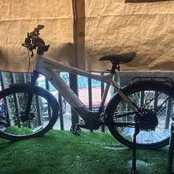PRIORITY SKYLINE SMART.SHIFT E-BIKE