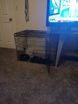 Dog Kennel Medium