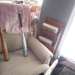 Savage Aluminum Bat