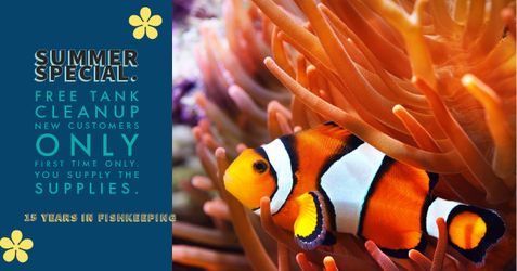 Free Tank Cleanup For First Time Customers.
