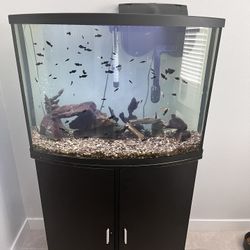 36 Gallon Bow Front Fish Aquarium 