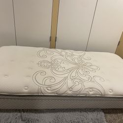 Sealy Twin Mattress $70, Box Spring $30 Twin Metal Bedframe $30