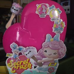 Secret Crush 