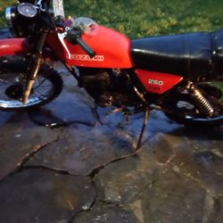 1979 Suzuki 250 Induro