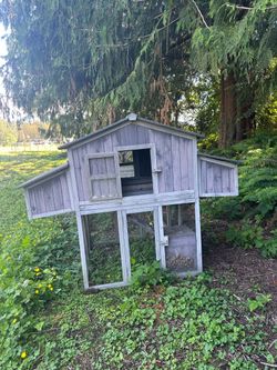 Chicken Coop