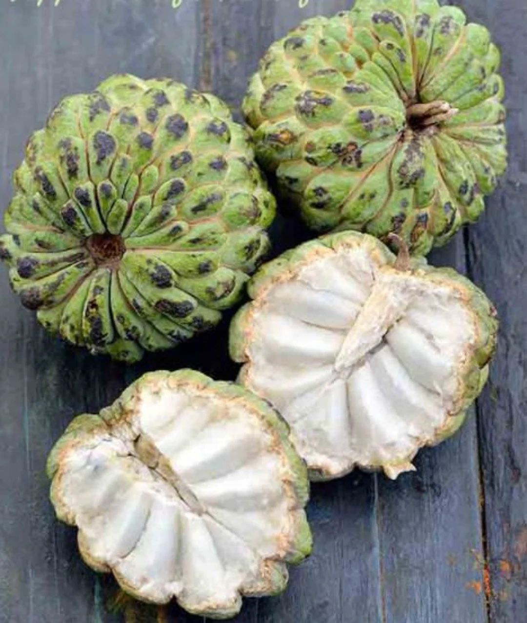 Sugar Apple Tree