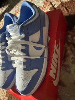 Nike Dunk Polar Blue