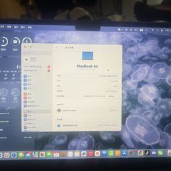 2024 MacBook 13 Inches M3chip 8g 256g