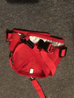Small dog harness