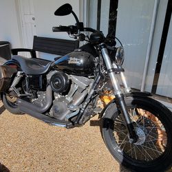 2013 Harley Dyna Street Bob