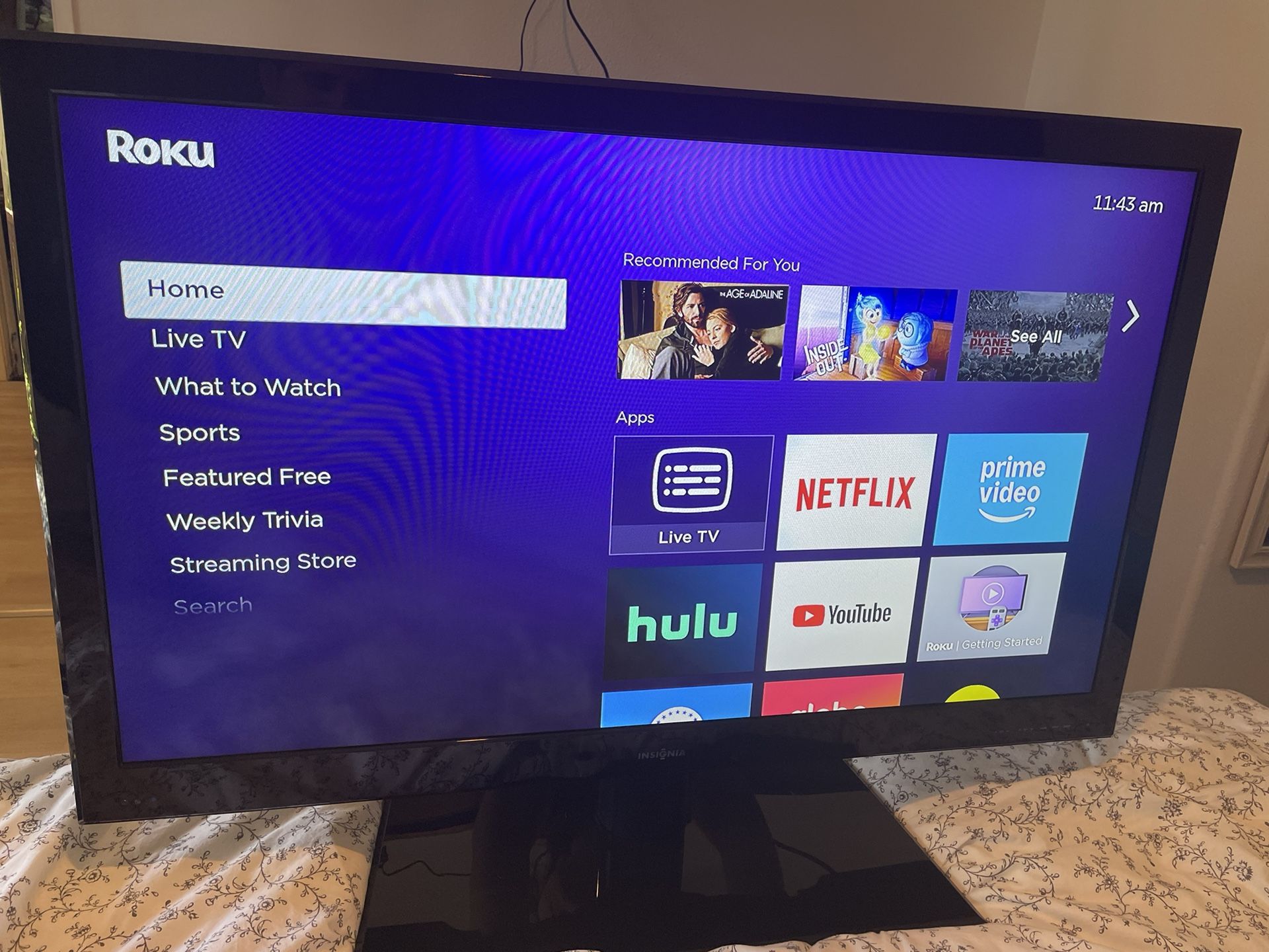 43” Tv (with Roku Tv Device)