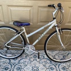 Raleigh C40 Cross Sport