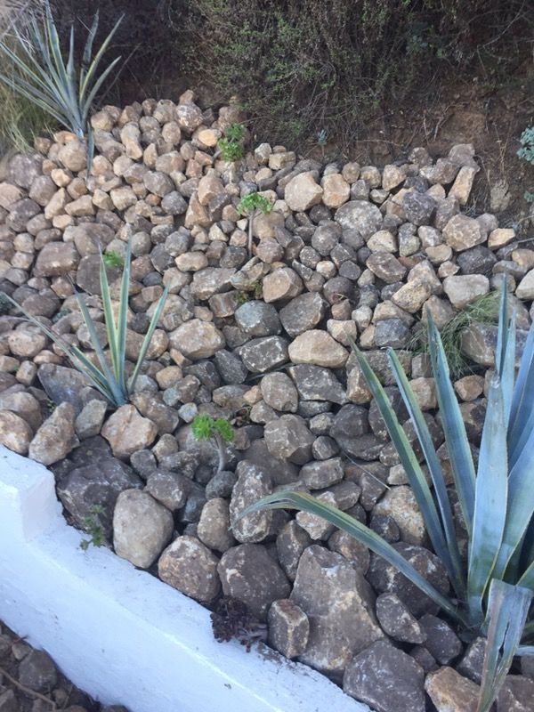 Granite rocks and boulders.