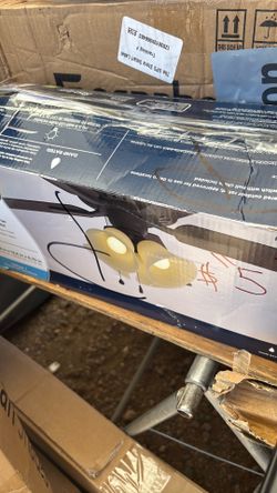 Ceiling fans light kit
