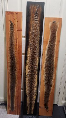 LOT OF 3 CUSTOM MADE RATTLESNAKE SKIN ART MOUNTS ON RESIN LUCITE