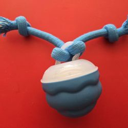 Dog Toy