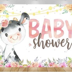 Baby Shower Backdrop 