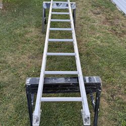 Werner 10’ Ladder 