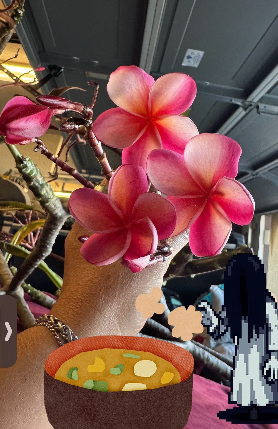 🎃cuts or the whole branch!🎃