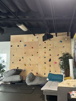 Indoor Rock Climbing Wall – 24 Panels – Alex Honnold Signed