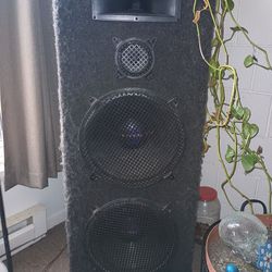 Two Pro Studio Loud Speakers