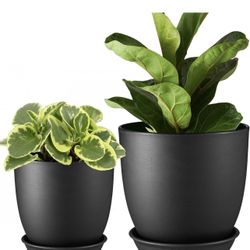 Planters Pot | Pack of 2