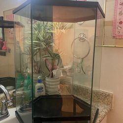 Reptile Aquarium