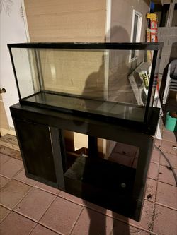 55 Gallon Fish tank
