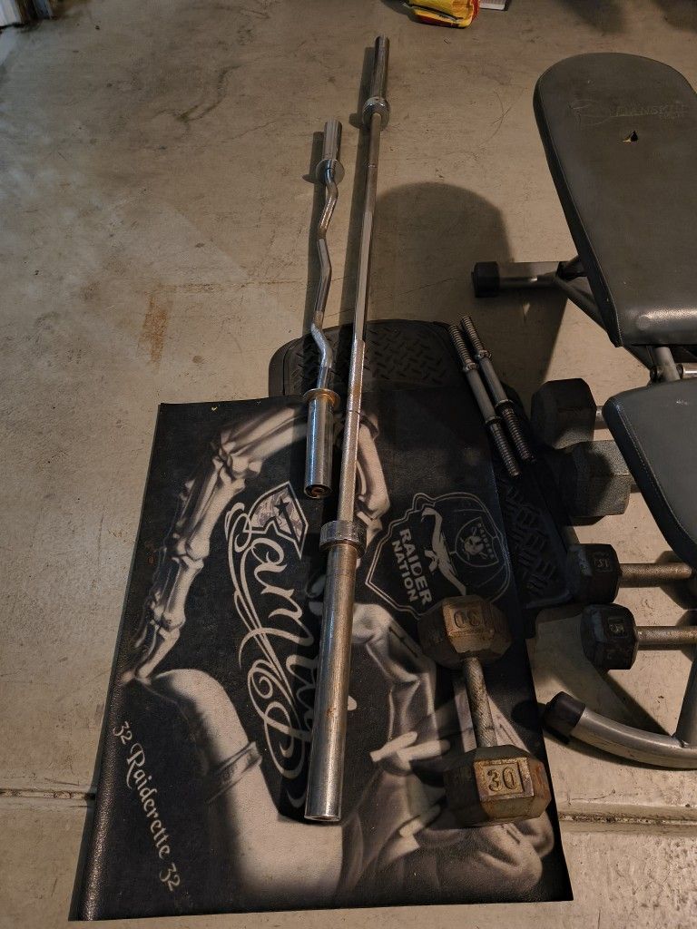 Olympic bench and curl Bar.