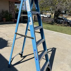 Werner Ladders 