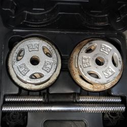 40 Lb Weights And Dumbbells 