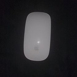White Apple Mouse
