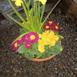 10" Color Flower Pot