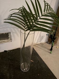 Tall Glass Vase with West Elm Palm Fronds