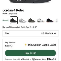 Brand New Jordan 4 BlackCat (2025)