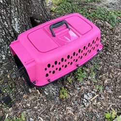 Pet 