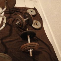 Weights For Excericing 