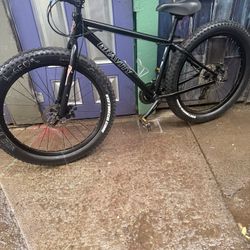 Gravity Bulls Eye Big Tire Bike 275$